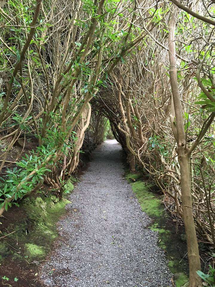 Carrig Country House & Restaurant Killorglin Bekvemmeligheder billede